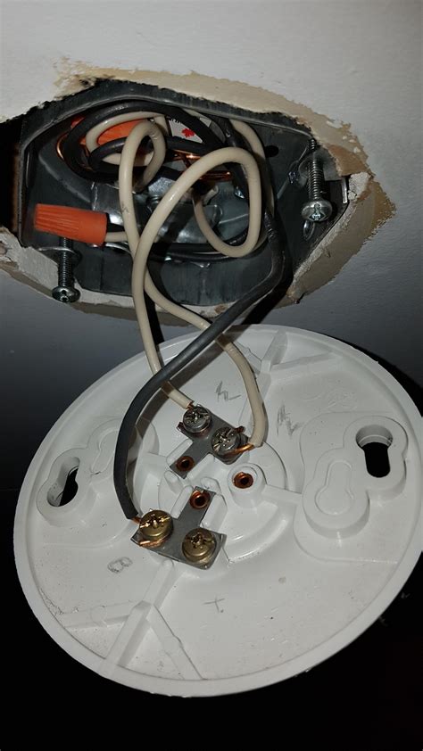 electrical box has two black and two white wires|black wire in electrical box.